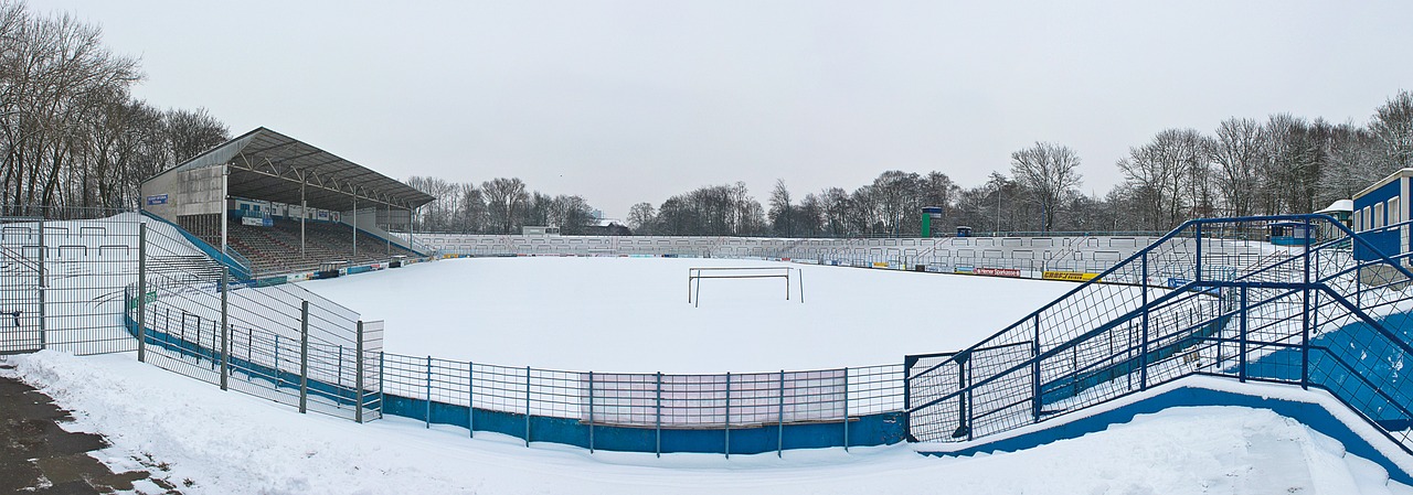 雪橇世界杯