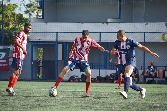 尼克斯可以