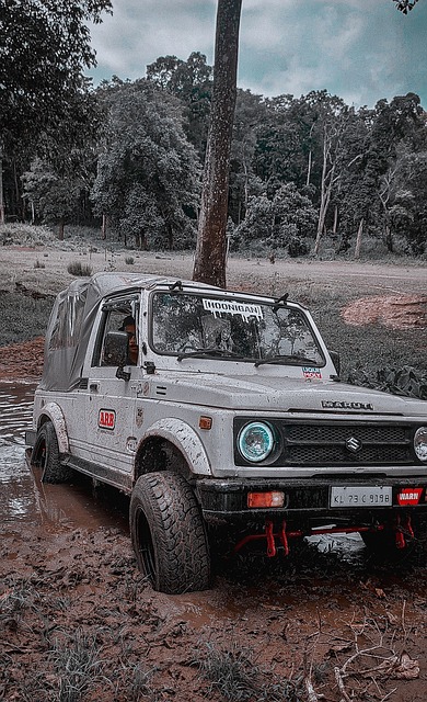 能够在技战 能够在技战