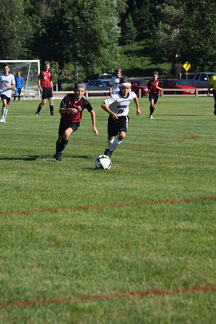 展示了两人 展示了两人