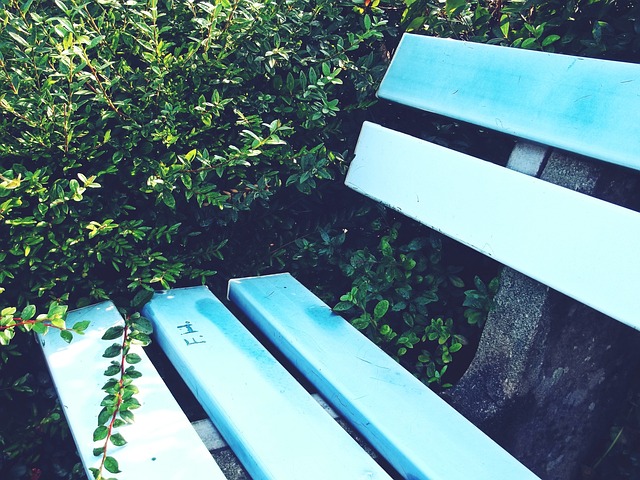 說都可能是 說都可能是