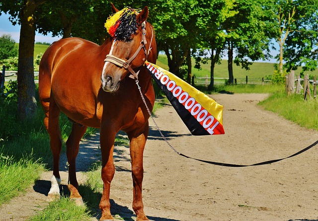 也再次表明 也再次表明