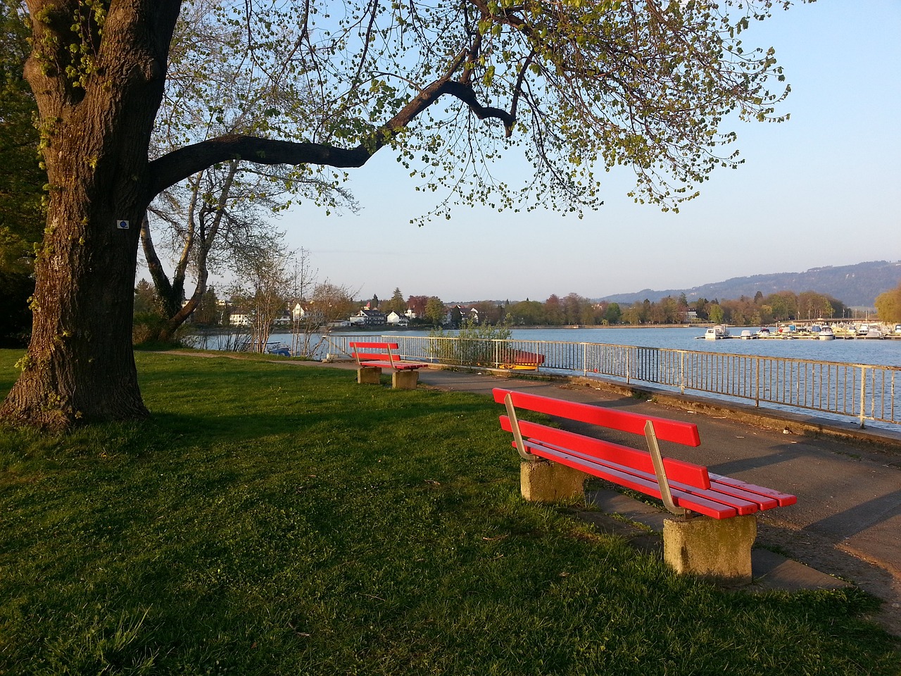 作为一项创 作为一项创