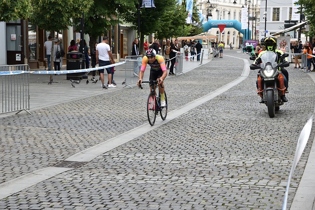 巨资引进的 巨资引进的